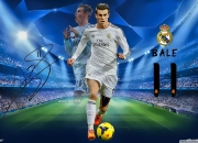 PG电子试玩-联合杯鏖战拉沃尔杯，德约科维奇关键制胜，定义网坛新纪元