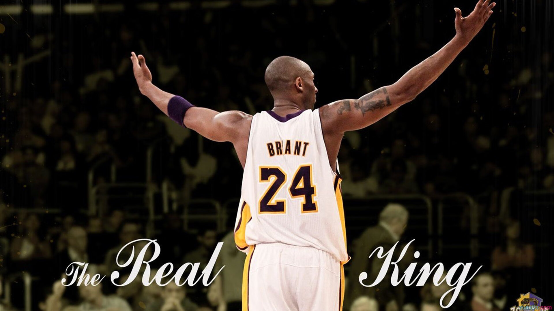 哈斯车队轻取梅赛德斯，勒克莱尔惊艳四座—一场颠覆F1格局的传奇之战